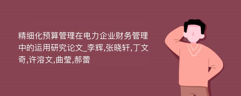 精细化预算管理在电力企业财务管理中的运用研究论文_李辉,张晓轩,丁文奇,许溶文,曲莹,郝蕾