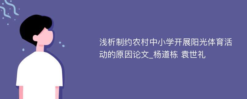 浅析制约农村中小学开展阳光体育活动的原因论文_杨道栋 袁世礼