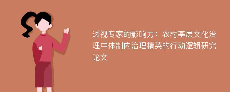 透视专家的影响力：农村基层文化治理中体制内治理精英的行动逻辑研究论文