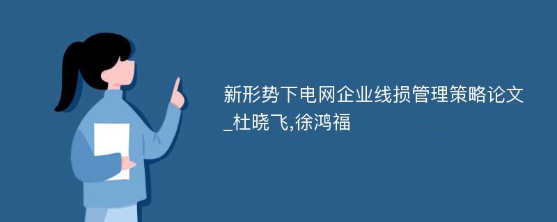 新形势下电网企业线损管理策略论文_杜晓飞,徐鸿福