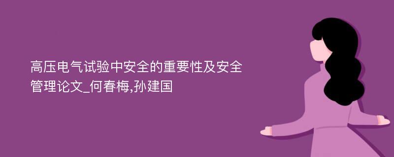 高压电气试验中安全的重要性及安全管理论文_何春梅,孙建国