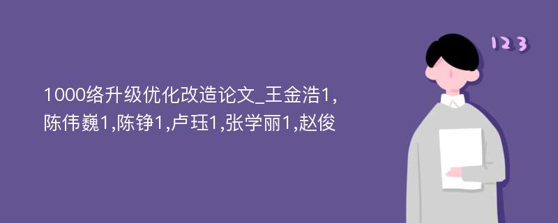 1000络升级优化改造论文_王金浩1,陈伟巍1,陈铮1,卢珏1,张学丽1,赵俊