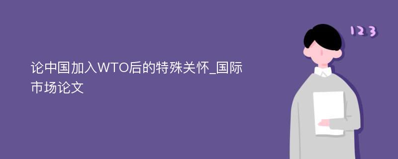 论中国加入WTO后的特殊关怀_国际市场论文