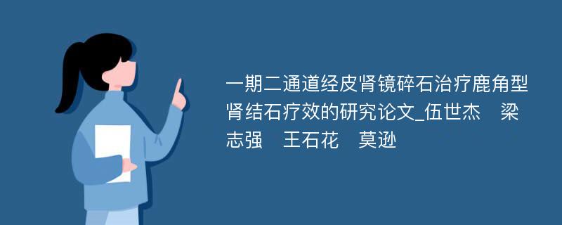 一期二通道经皮肾镜碎石治疗鹿角型肾结石疗效的研究论文_伍世杰　梁志强　王石花　莫逊