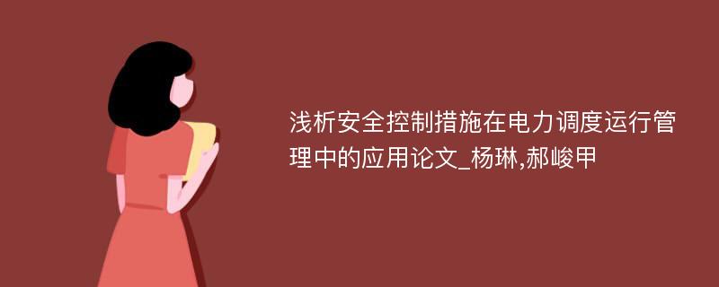 浅析安全控制措施在电力调度运行管理中的应用论文_杨琳,郝峻甲