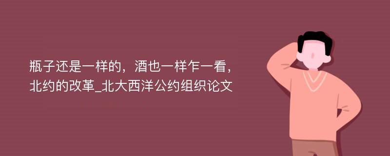 瓶子还是一样的，酒也一样乍一看，北约的改革_北大西洋公约组织论文