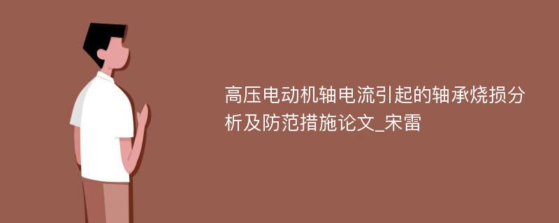 高压电动机轴电流引起的轴承烧损分析及防范措施论文_宋雷