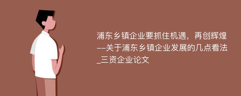 浦东乡镇企业要抓住机遇，再创辉煌--关于浦东乡镇企业发展的几点看法_三资企业论文