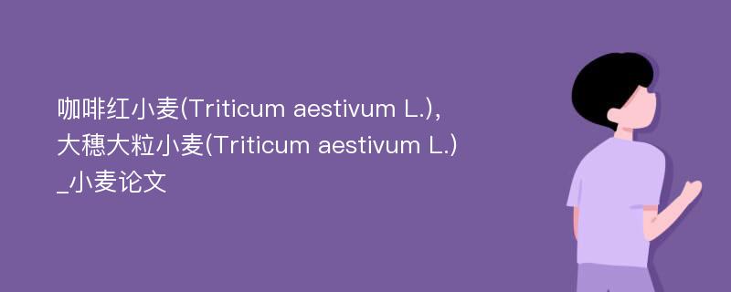 咖啡红小麦(Triticum aestivum L.)，大穗大粒小麦(Triticum aestivum L.)_小麦论文