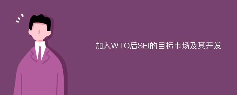 加入WTO后SEI的目标市场及其开发