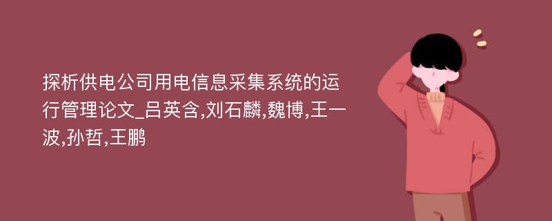 探析供电公司用电信息采集系统的运行管理论文_吕英含,刘石麟,魏博,王一波,孙哲,王鹏