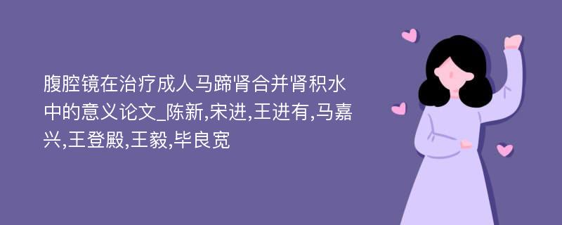 腹腔镜在治疗成人马蹄肾合并肾积水中的意义论文_陈新,宋进,王进有,马嘉兴,王登殿,王毅,毕良宽