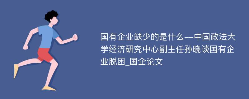 国有企业缺少的是什么--中国政法大学经济研究中心副主任孙晓谈国有企业脱困_国企论文