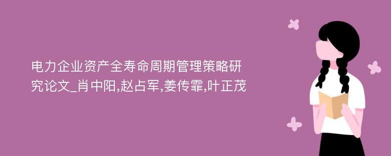 电力企业资产全寿命周期管理策略研究论文_肖中阳,赵占军,姜传霏,叶正茂