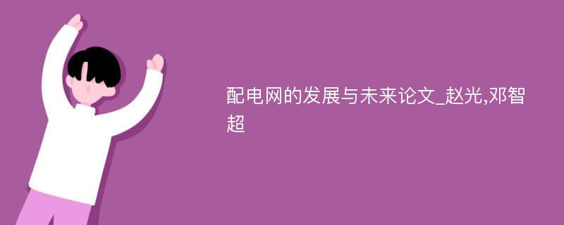 配电网的发展与未来论文_赵光,邓智超