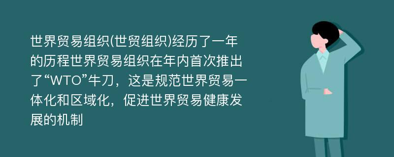 世界贸易组织(世贸组织)经历了一年的历程世界贸易组织在年内首次推出了“WTO”牛刀，这是规范世界贸易一体化和区域化，促进世界贸易健康发展的机制