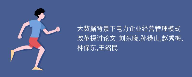 大数据背景下电力企业经营管理模式改革探讨论文_刘东晓,孙禄山,赵秀梅,林保东,王绍民