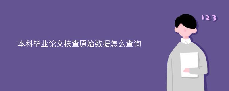 本科毕业论文核查原始数据怎么查询