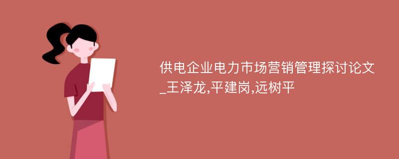 供电企业电力市场营销管理探讨论文_王泽龙,平建岗,远树平