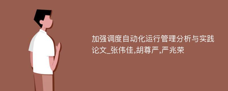 加强调度自动化运行管理分析与实践论文_张伟佳,胡尊严,严兆荣