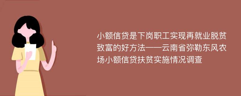 小额信贷是下岗职工实现再就业脱贫致富的好方法——云南省弥勒东风农场小额信贷扶贫实施情况调查