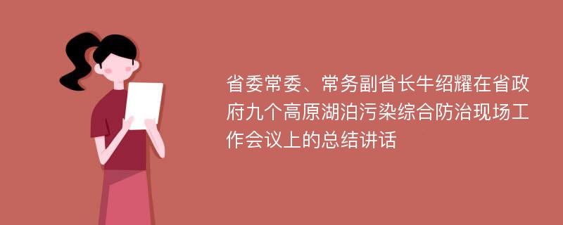 省委常委、常务副省长牛绍耀在省政府九个高原湖泊污染综合防治现场工作会议上的总结讲话