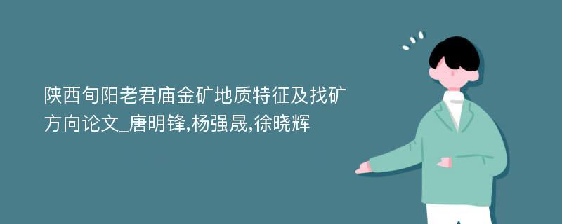 陕西旬阳老君庙金矿地质特征及找矿方向论文_唐明锋,杨强晟,徐晓辉