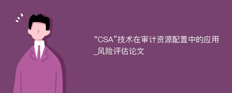 “CSA”技术在审计资源配置中的应用_风险评估论文