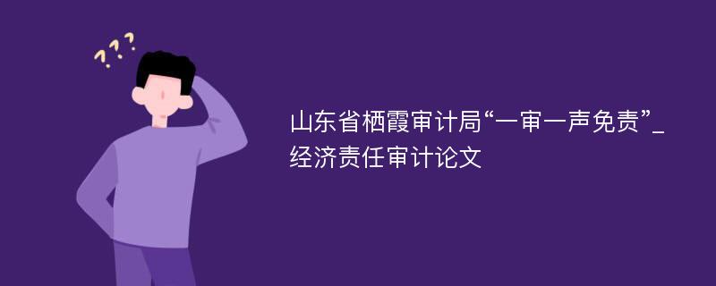 山东省栖霞审计局“一审一声免责”_经济责任审计论文