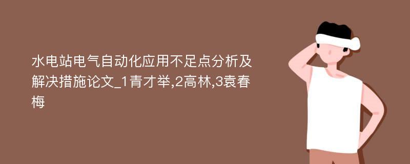 水电站电气自动化应用不足点分析及解决措施论文_1青才举,2高林,3袁春梅