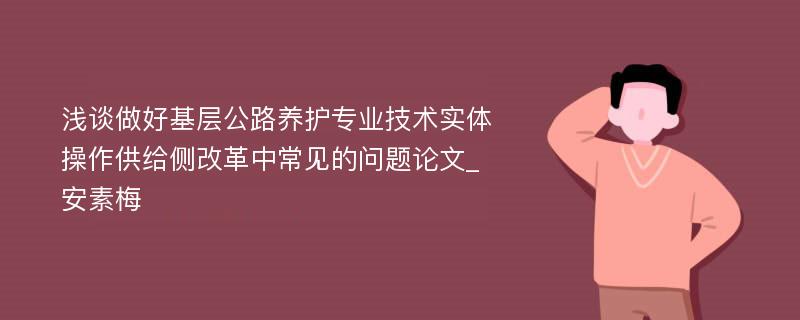 浅谈做好基层公路养护专业技术实体操作供给侧改革中常见的问题论文_安素梅