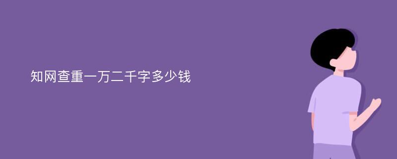 知网查重一万二千字多少钱