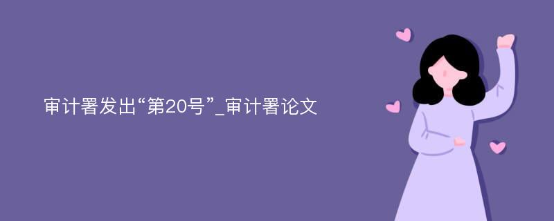 审计署发出“第20号”_审计署论文