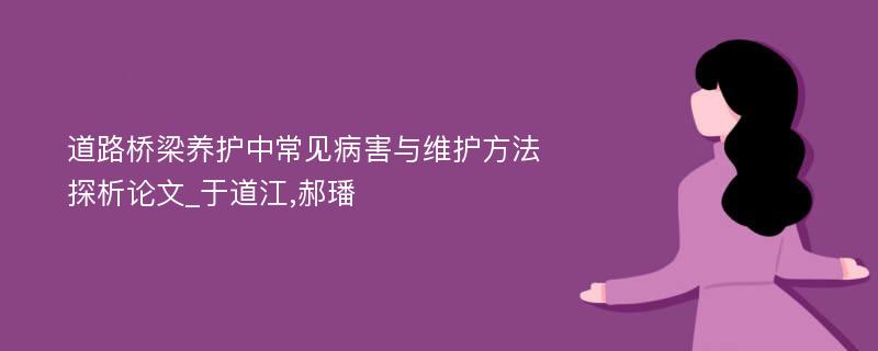 道路桥梁养护中常见病害与维护方法探析论文_于道江,郝璠