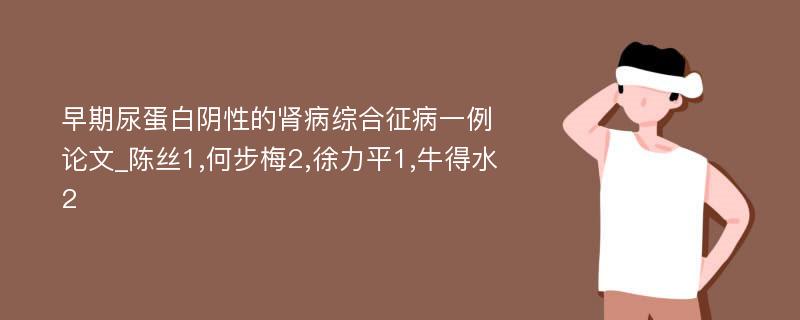 早期尿蛋白阴性的肾病综合征病一例论文_陈丝1,何步梅2,徐力平1,牛得水2