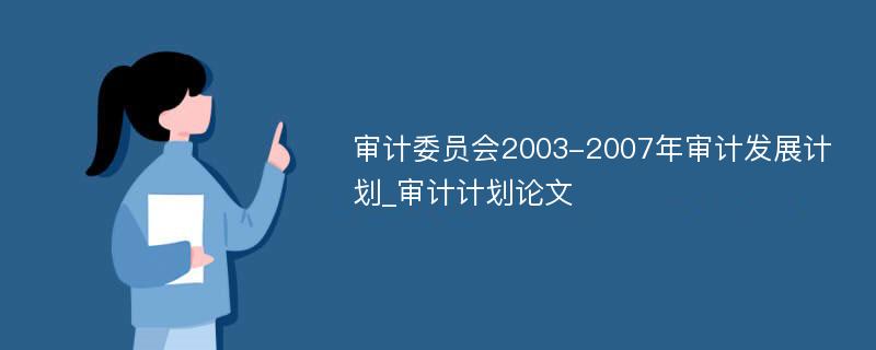 审计委员会2003-2007年审计发展计划_审计计划论文