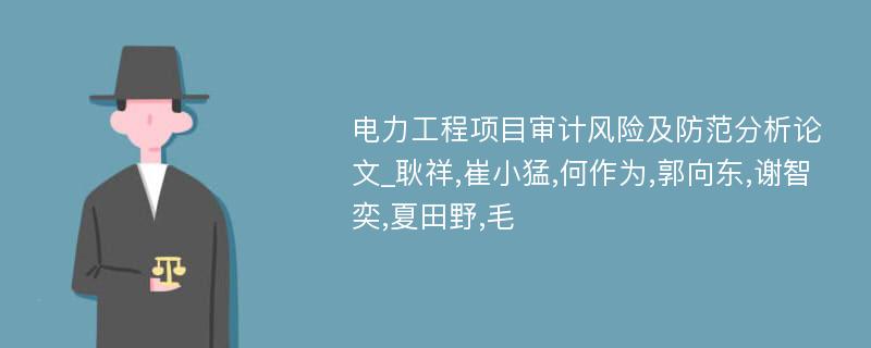 电力工程项目审计风险及防范分析论文_耿祥,崔小猛,何作为,郭向东,谢智奕,夏田野,毛