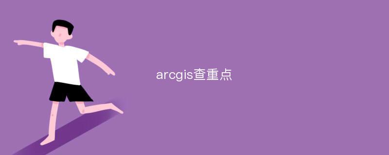 arcgis查重点