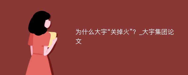 为什么大宇“关掉火”？_大宇集团论文