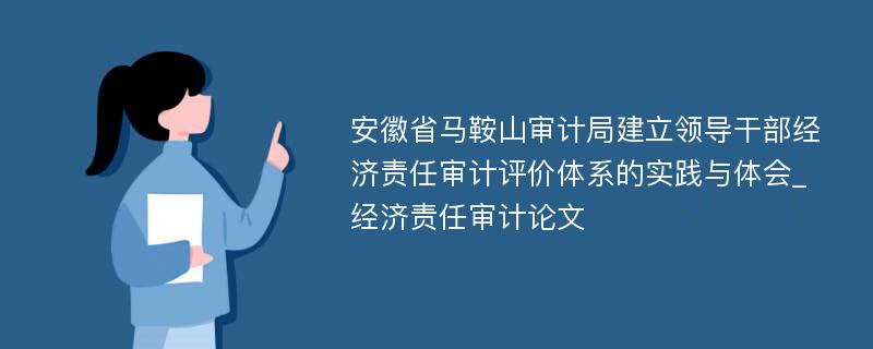 安徽省马鞍山审计局建立领导干部经济责任审计评价体系的实践与体会_经济责任审计论文