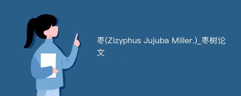 枣(Zizyphus Jujuba Miller.)_枣树论文