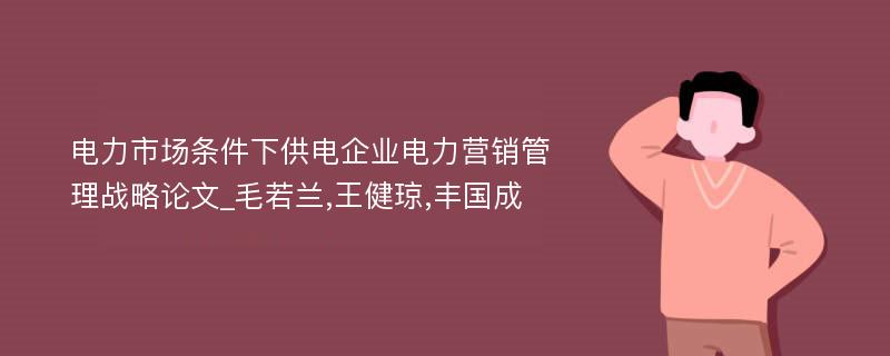 电力市场条件下供电企业电力营销管理战略论文_毛若兰,王健琼,丰国成