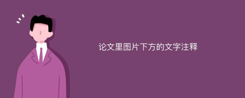 论文里图片下方的文字注释