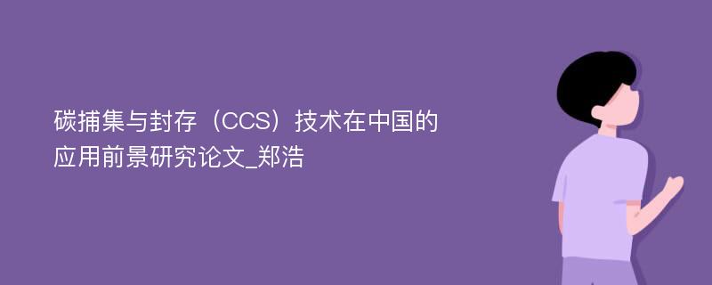 碳捕集与封存（CCS）技术在中国的应用前景研究论文_郑浩