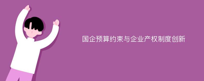 国企预算约束与企业产权制度创新