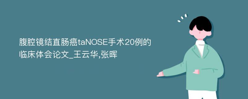 腹腔镜结直肠癌taNOSE手术20例的临床体会论文_王云华,张晖