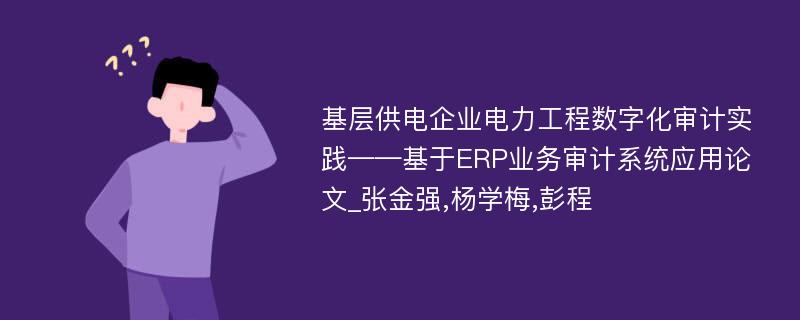 基层供电企业电力工程数字化审计实践——基于ERP业务审计系统应用论文_张金强,杨学梅,彭程