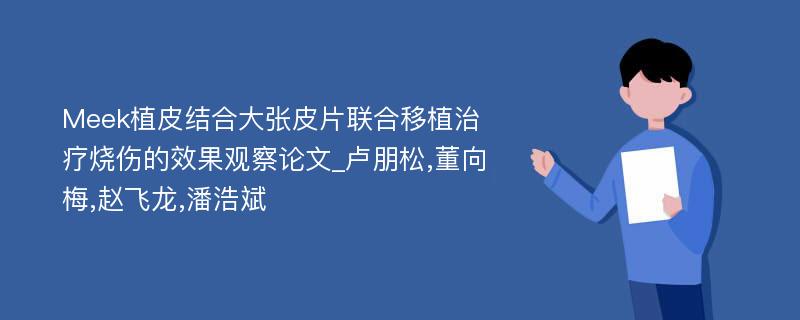 Meek植皮结合大张皮片联合移植治疗烧伤的效果观察论文_卢朋松,董向梅,赵飞龙,潘浩斌