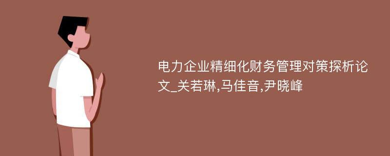 电力企业精细化财务管理对策探析论文_关若琳,马佳音,尹晓峰