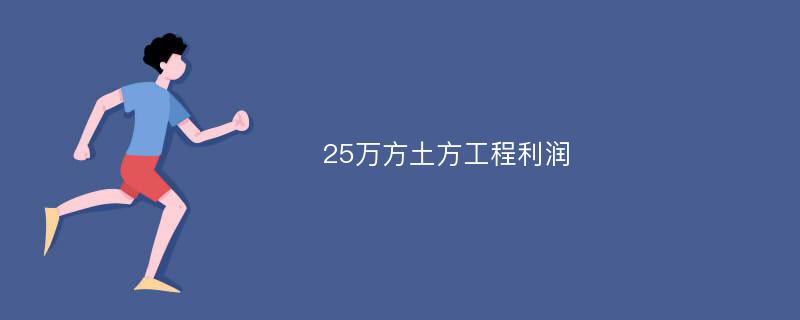 25万方土方工程利润